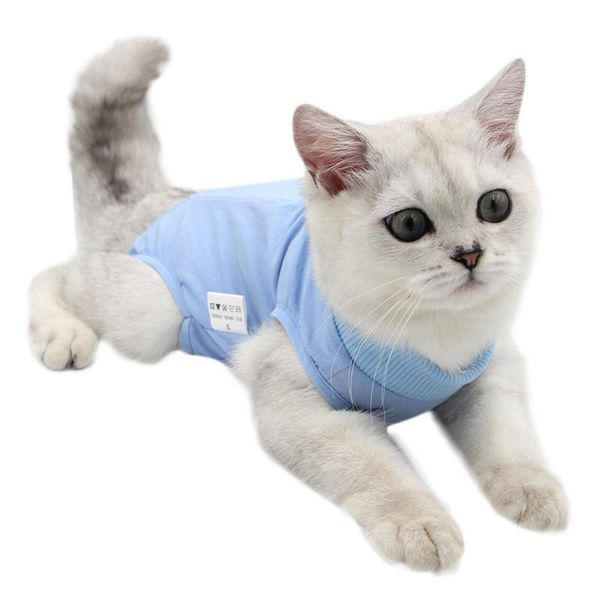 

pet protective clothing physiological clothing weaning posrative anti-licking elastic pet