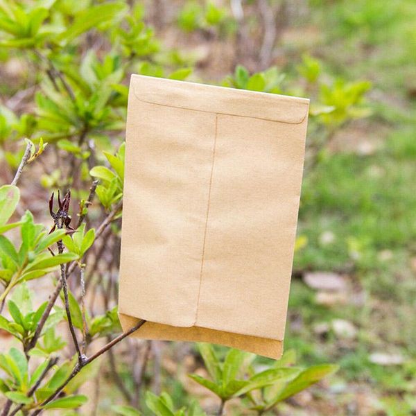 

planters & pots 100pcs seed protective envelope kraft paper bags corns wheat rice seeds packaging storage bag envelop