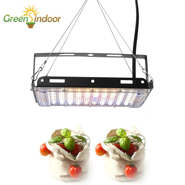 

800w phytolamp for plants full spectrum 220v led grow light cover spotlight 50leds indoor lamp succulents phytolight 2pcs 1pc