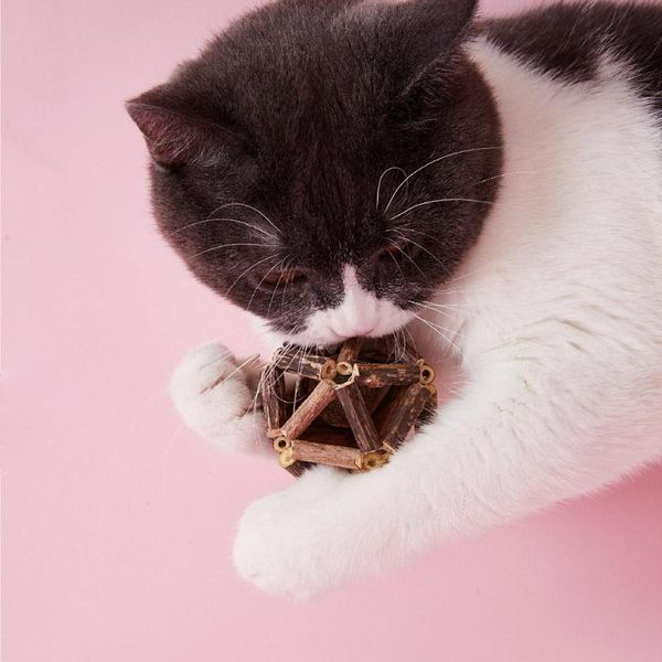 

cat toys natural silvervine ball kitten cleaning teeth molar toothpaste toy interactive play rattle training pet supply