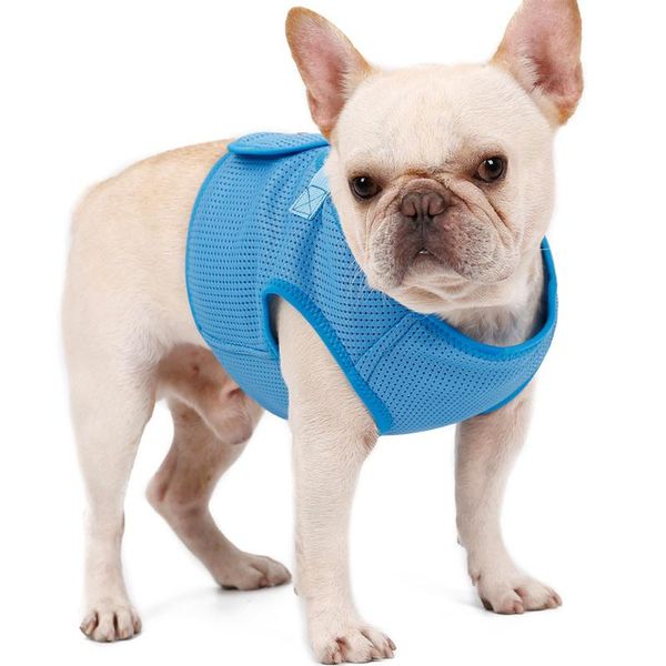 

dog collars & leashes pet adjustable breathable vest chain puppy cat harness leash lead set chest straps accessories