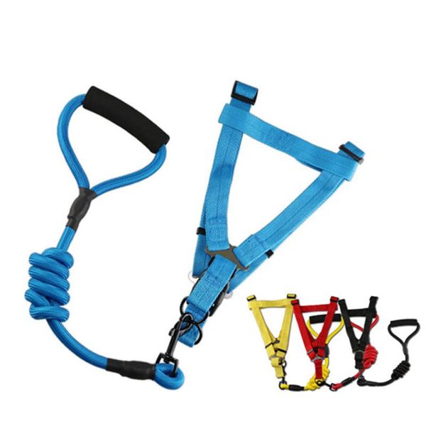 

dog collars & leashes round rope foam traction handle pet leash chain chest harness colored for large medium small dogs