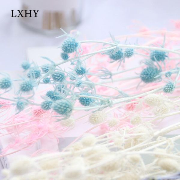 

decorative flowers & wreaths lxhy diy hand - made immortal dry small celery light color lover's fruit scented candle decoration with