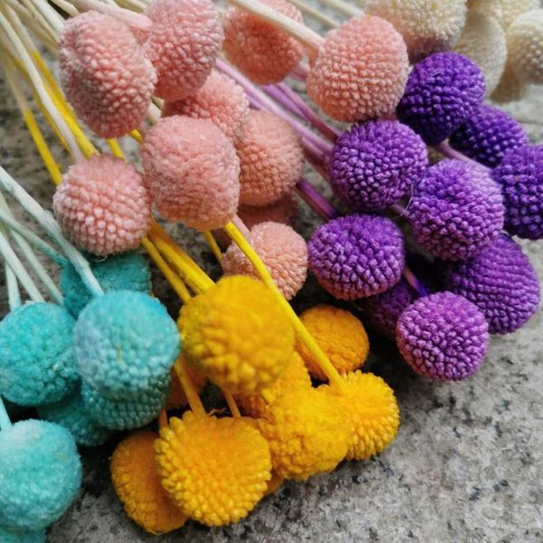 

decorative flowers & wreaths 30pcs/1.5-2.5cm,natural fresh eternal craspedia bouquet,preserved dried flower for wedding party display