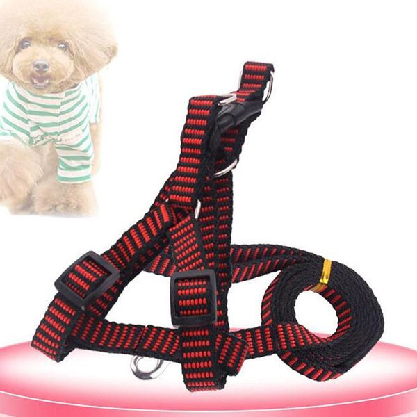 

dog collars & leashes high quatity harness leash small medium pet product stripe and lead set