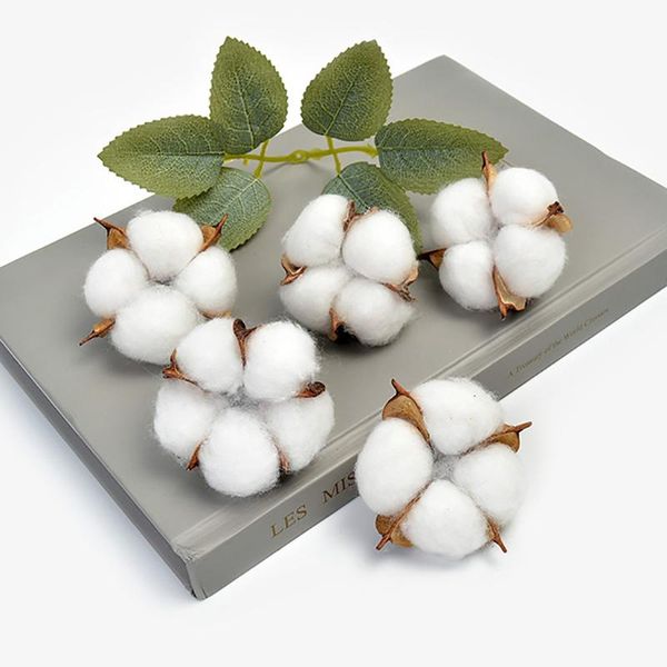 

decorative flowers & wreaths 2/5/10 pieces white cotton head 5cm natural kapok dried flower decor fo wedding home supplies diy artificial
