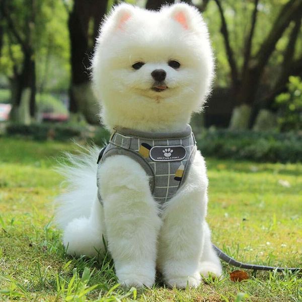 

dog apparel reflective breathable carrying breast straps pet supplies vest-style cat and leash 1pcs