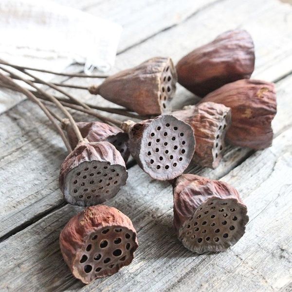 

decorative flowers & wreaths 1 pcs large lotus pod natural dried farmhouse bouquet plants branch fall decorations floral for party home