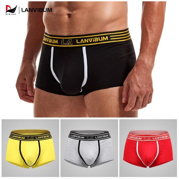 

underpants boxers classic male comfortable breathable quick dry elastic waistbelt solid independedt codpiece boy underunder, Black;white