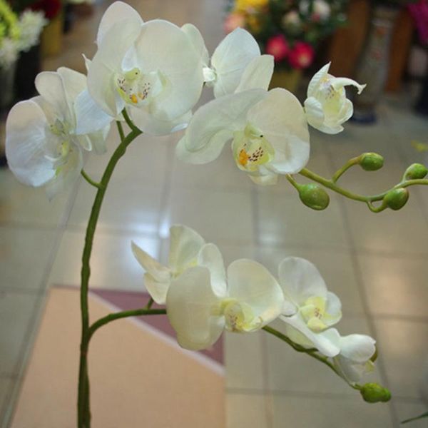 

decorative flowers & wreaths 9 craft ornaments simulation orchid home garden party supplies lightweight gift beautiful phalaenopsis artifici