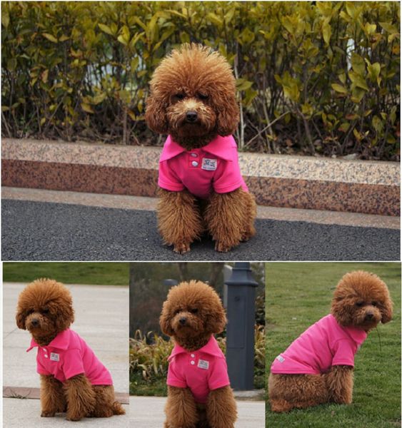 DHL Pet Magliette Estate Solido Abbigliamento per cani Abbigliamento Moda Top Camicia Canotta Cani di cotone Cucciolo Piccoli vestiti Animali domestici