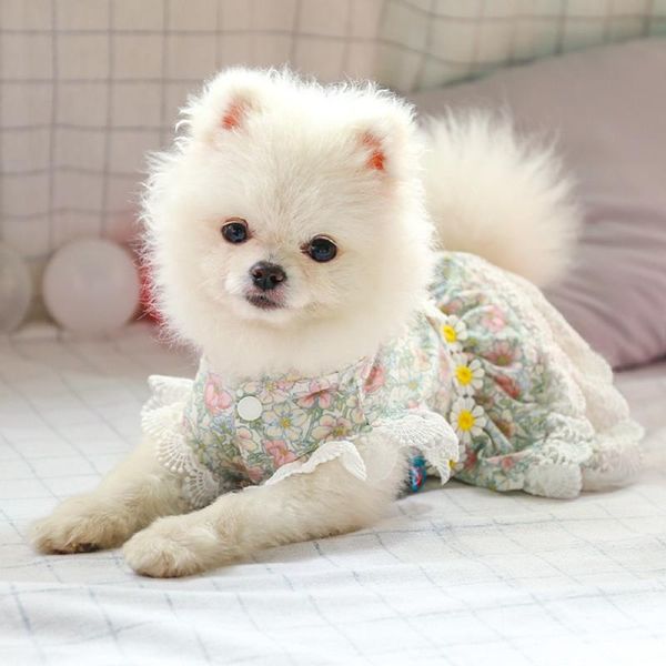 

floral pet dog lace dress vestidos for small dogs summer chihuahua teddy pug clothing puppy cat clothes dog wedding dresses