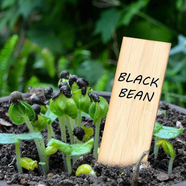 

other garden supplies 50pcs plant labels bamboo waterproof record plate nursery premium label deodorant signs vegetable tag