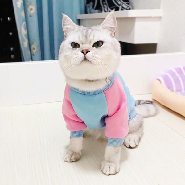 

cat costumes fashion hoodie clothes warm sphynx kitty kitten coat dog sphinx shirt winter pet costume jumpsuit sweater