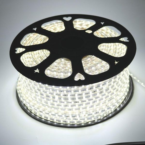 

220v 100m led strip light lamp smd flexible ribbon tape ip67 waterproof 3000k 6000k warm white cold white red blue