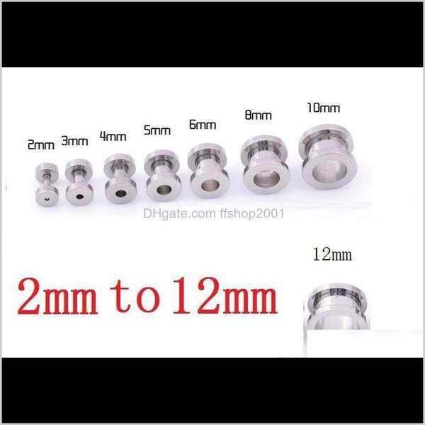 

sliver stainless steel ear plugs gauge body jewelry pierceing surgical steel ear plugs tunnels 2mm to 12 mm ak104 2zrgj 4z8hp, Silver