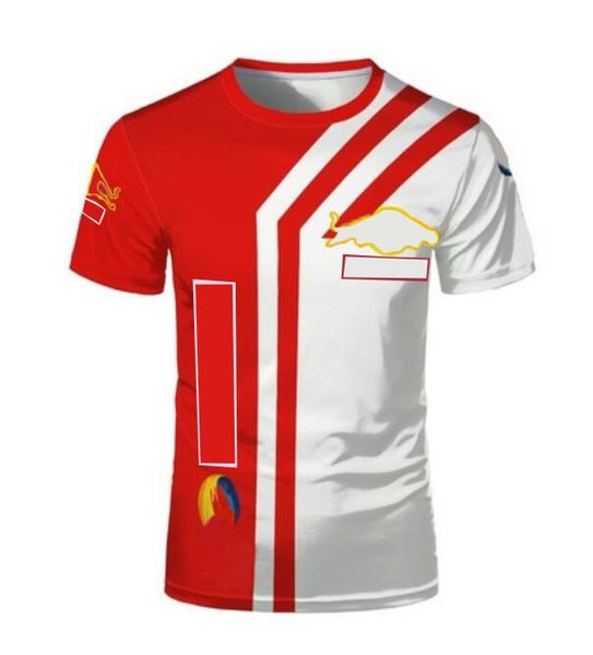 

2021f1 racing short-sleeved, outdoor fashion t-shirt, polyester quick-drying, same style customization