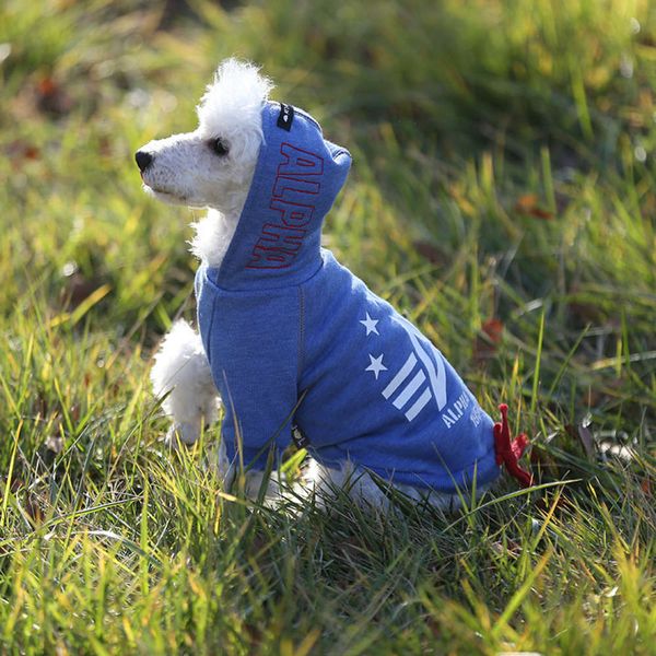 

autumn and winter 2020 new pet cotton printed hooded sweater dog clothing