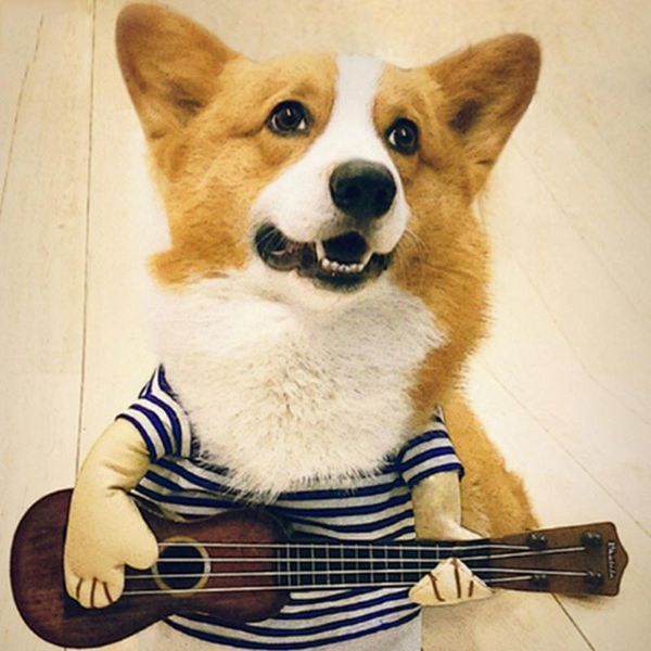 

dog apparel pet guitar clothes guitarist dressing costume fancy dress party