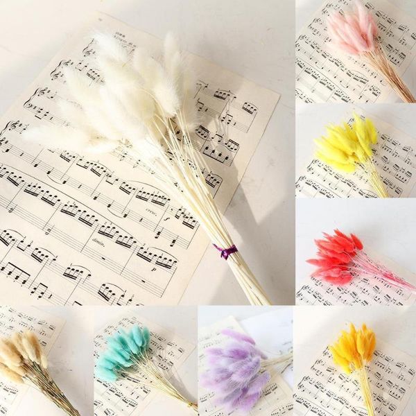 

decorative flowers & wreaths 30pcs/set natural dried tail grass bunch ovatus lagurus props real decoration colorful flower for wedd b