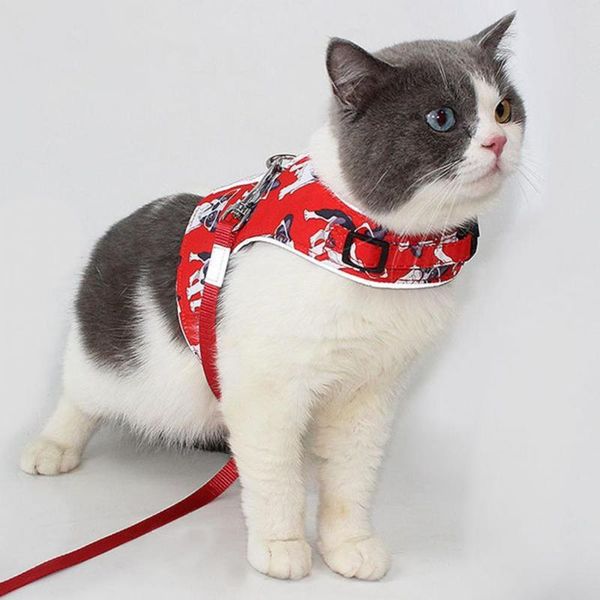 

cat collars & leads xs-l walking harness vest reflective chest strap kitten leash traction rope set accessories mascotas