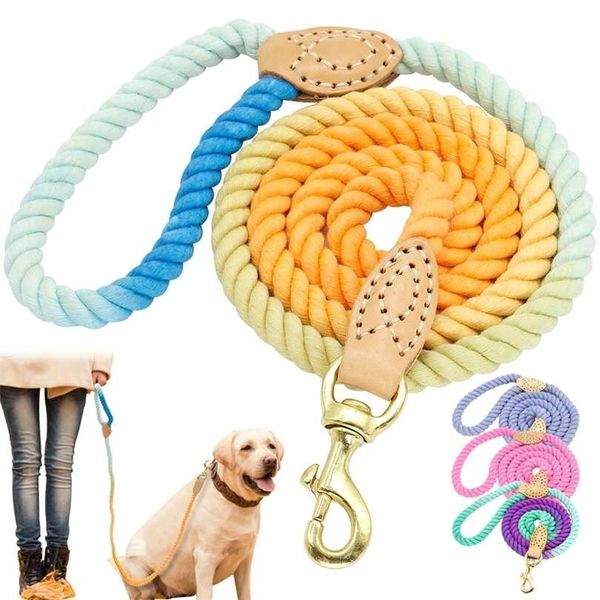 4 cores durável nylon cão coleira animal de estimação filhote de cachorro treinamento de caminhada lead s es cinta cinto de algodão corda de tração 5ft longo 211022