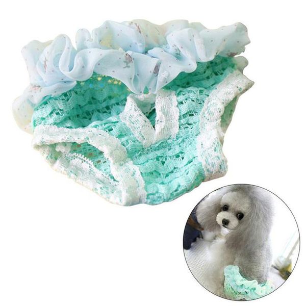 

dog apparel 2021 small diaper sanitary pure color lace floral physiological pants washable female shorts underwear pet