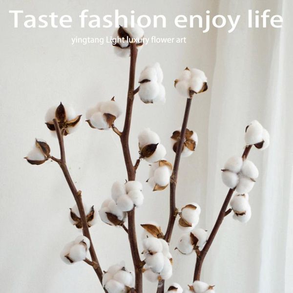 

decorative flowers & wreaths 8 heads artificial plants naturally dried cotton flower floral branch for wedding party decoration fake home