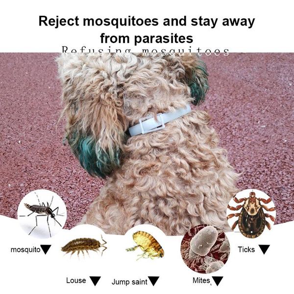 

cat collars & leads adjustable dog collar flea tick prevention pet pest control rubber killer accessories