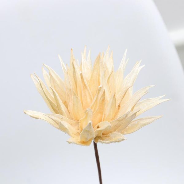 

narcissus flower decoration beautiful simulative floral bouquet decor lifelike dry flower (white)