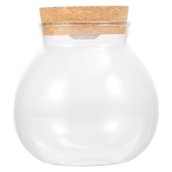 

vases diy micro landscape bottle terrarium container fish tank with led light