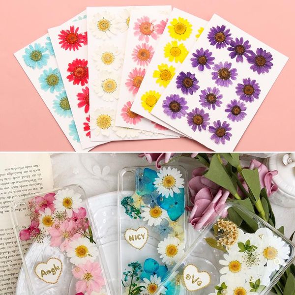 

decorative flowers & wreaths 12pcs/bag pressed daisy dried flower pendant necklace resin jewelry making diy crafts art wedding decor