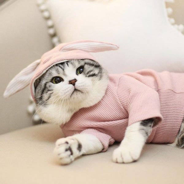 

cat costumes sweet pet winter warm clothes for small cats dogs ear shaped kitten kitty coat jacket clothing