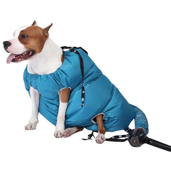 

Lnnovative Constant Temperature Dog Dryer Portable Pet Drying Bag Dog Blow Grooming Pet Drying Bag For Dogs And Cats Fashion Designer, Blue