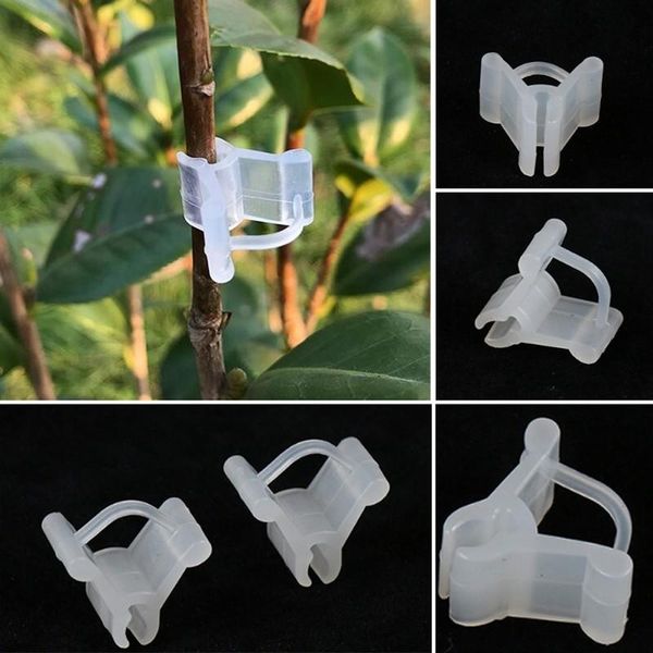 

other garden supplies plant stem support clips gripper vine fasteners tomato trellis grafting clamps 50 pieces