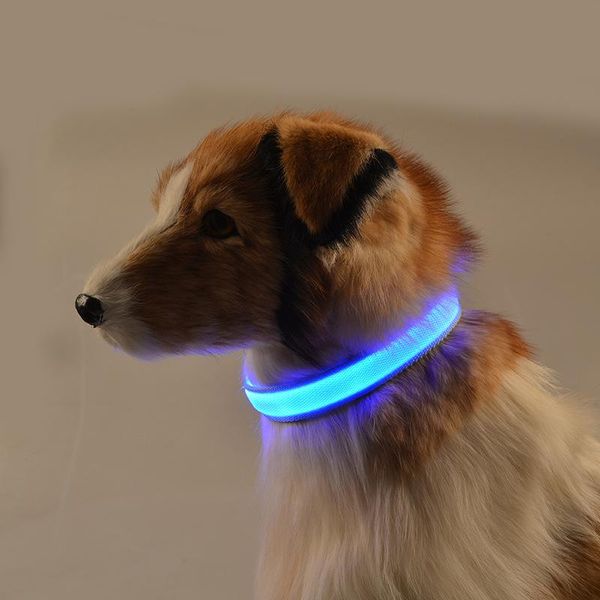

g02 new pet led collar double exposure luminous puppy dogs cats collar safety led small dog traction for yorkshire