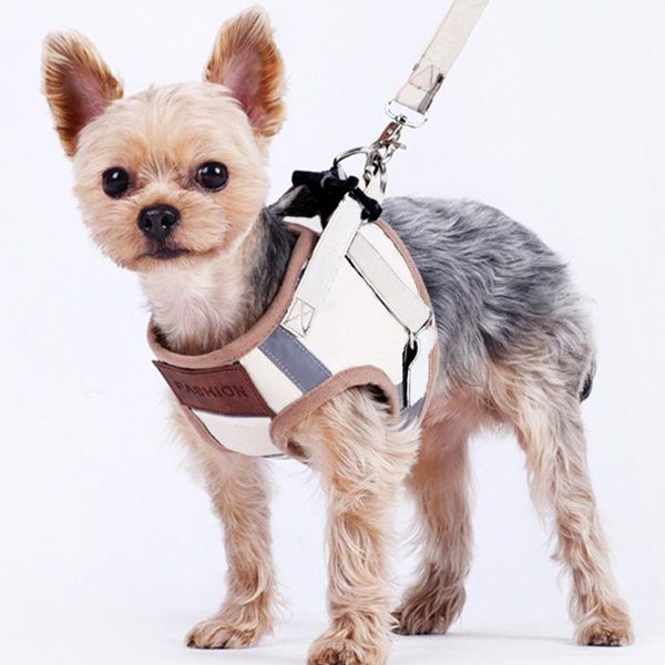 

fashion warm dog harness leash set for small dogs pets prodcut puppy vest harness