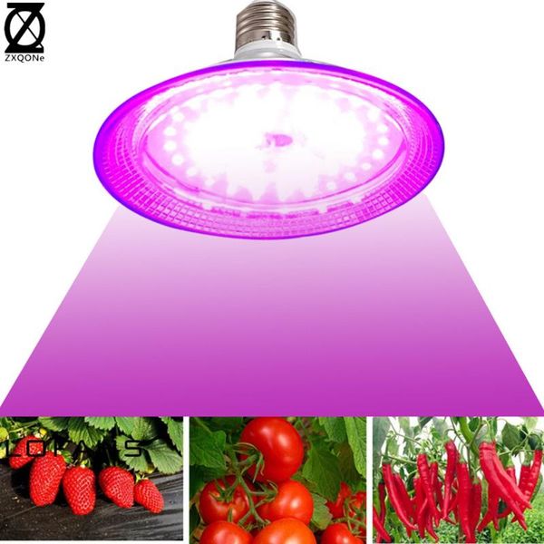 

grow lights led light e27 bulb 110/220v full spectrum 6500k 660nm 450nm with spotlight hydroponic growth phyto lamp indoor