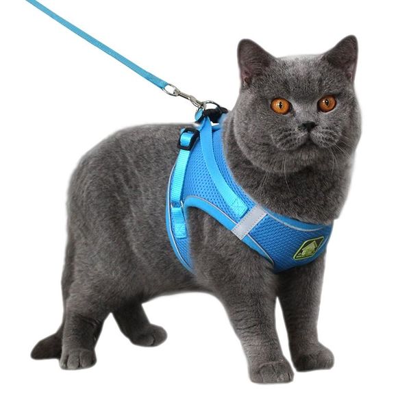 

dog collars & leashes cat collar mesh cats harness leash belt collier chat harnais kitten pet products adjustable