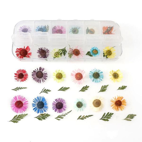 

1 box real dried daisy hydrangea flower dry plants for epoxy resin pendant necklace jewelry making craft diy acc jllbad