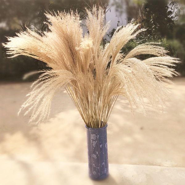 

natural dried flower reed home accesories immortal flowers ear of wheat fashion display window wedding 0 39yz k2