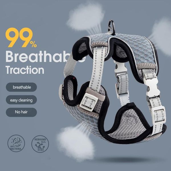 

cat collars & leads 99% breathable mesh harnesses for cats harness fashion pet and leash set katten kitty mascotas accesorios para gatos