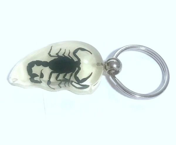 

5 pcs real black gothic scorpion glow in dark fashion keychain, Slivery;golden