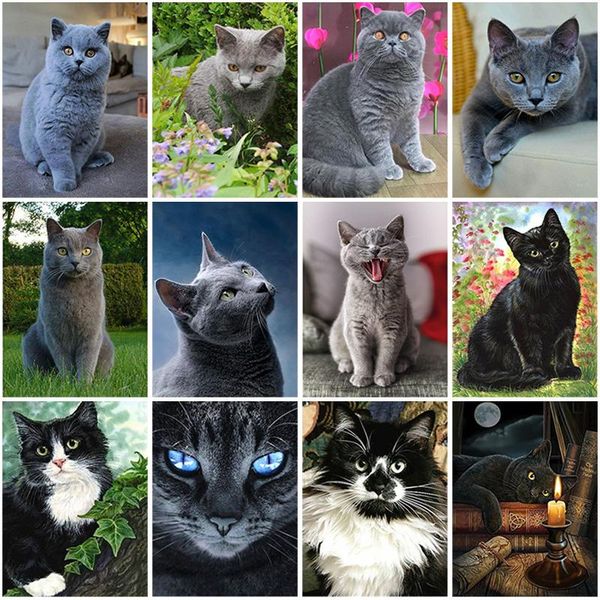 

diamond painting 5d diy animals cat embroidery full square round drill rhinestones cross stitch crafts kit handmade gift
