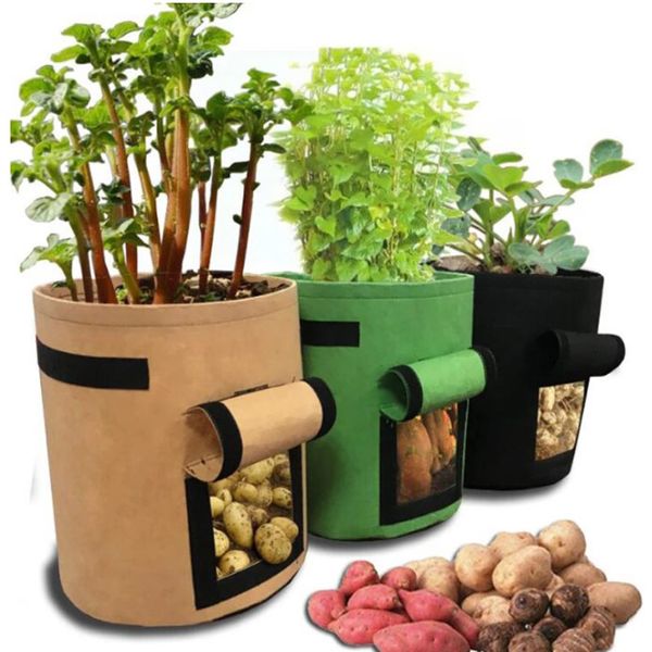 Plantadores de bolsas de cultivo de batata sa sacos de cebola vegetal com maçane