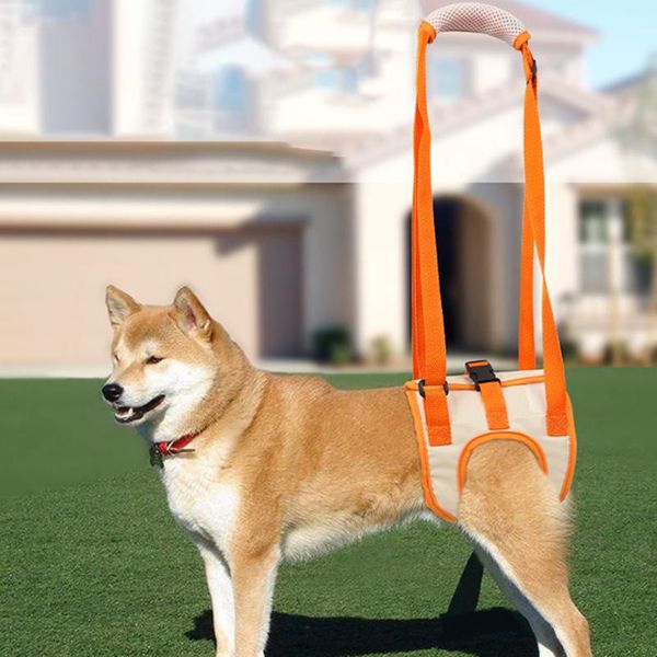 

2021 new adjustable dog lift harness for back legs pet support sling help weak legs stand up pet dogs aid assist tool