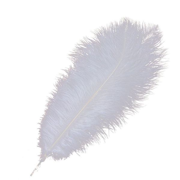 Avestruz Branca Feather 25-30cm (10-12 polegadas) Plumas de penas para a decoração de eventos de festa central de casamentos decoração festiva Many Plumas de Avestruz