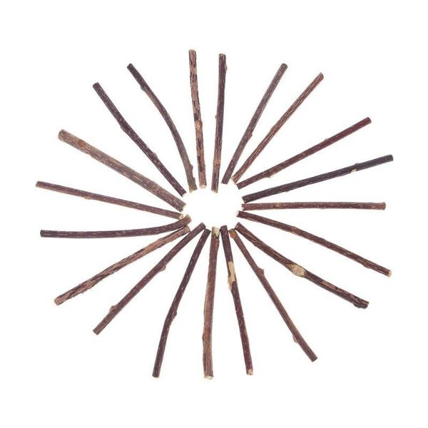 

cat toys 15/20pcs natural fruit matatabi sticks catnip pet molar rod