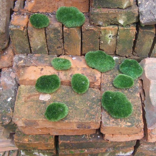 

artificial stones green fake rock moss grass fish tank mini landscape decor art