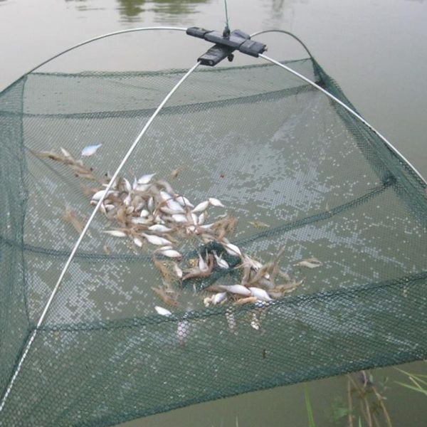 

foldable mesh baits trap cast dip net crab shrimp smelt eel crab lobster minnows shrimp crawfish net